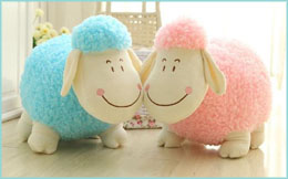Sheep